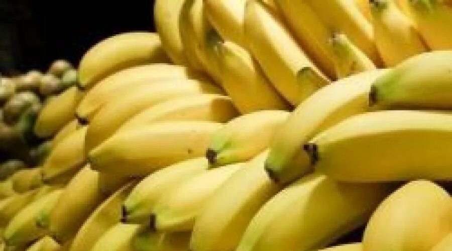 Страны выращивающие бананы. Как растут бананы. Бананы из откуда привозят в Россию. Банановая мышь. Бананы откуда привозят в Россию из какой страны.