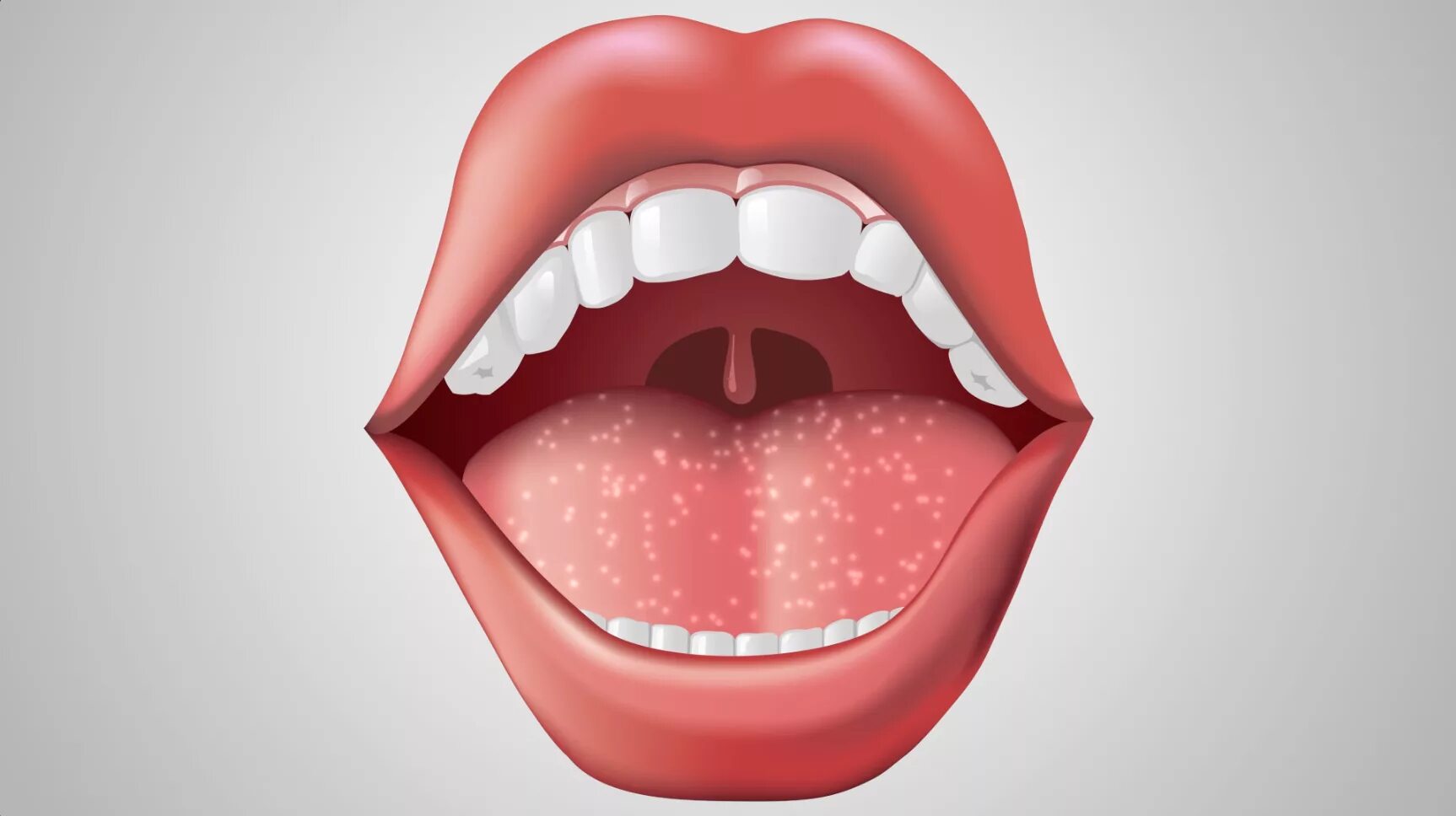 Полость рта язык зубы. Губы с зубами. Открытый рот на белом фоне.