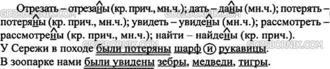 Русский язык 7 класс страница 141