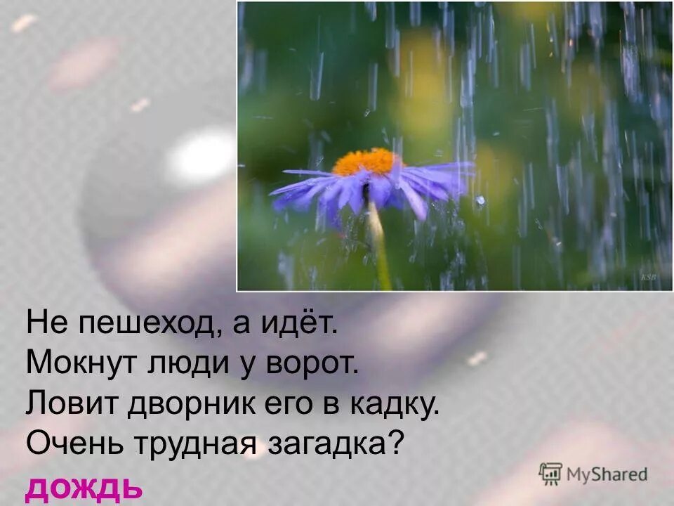 загадки про дождь