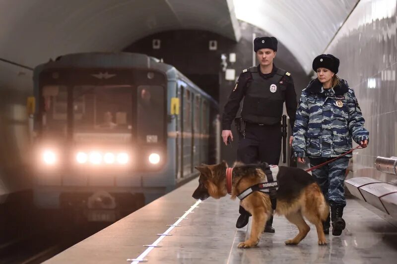 Мвд на метрополитене. День милиции УВД на Московском метрополитене. День полиции по охране метрополитена в России. Транспортная полиция. Транспортная полиция России.