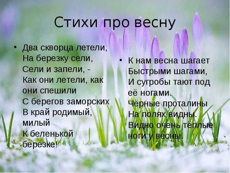 Стих про весну 9 лет. Считалочка про весну. Стихи про Скворцов и весну. Слоганы про весну. Девиз про весну.