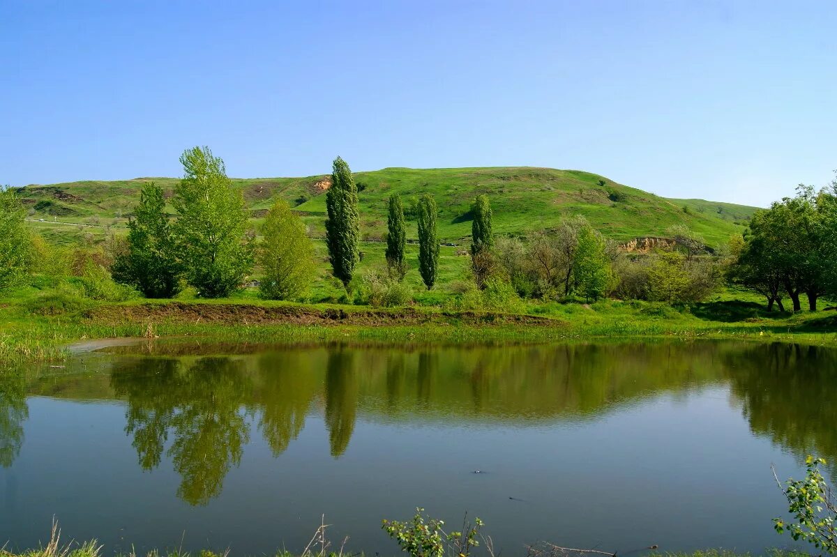 Тульская область краснодарский край. Краснодарский край Кубань природа. Река Кубань пейзажи Краснодарского края. Прикубанская равнина река Кубань. Кубань просторы Кубани.