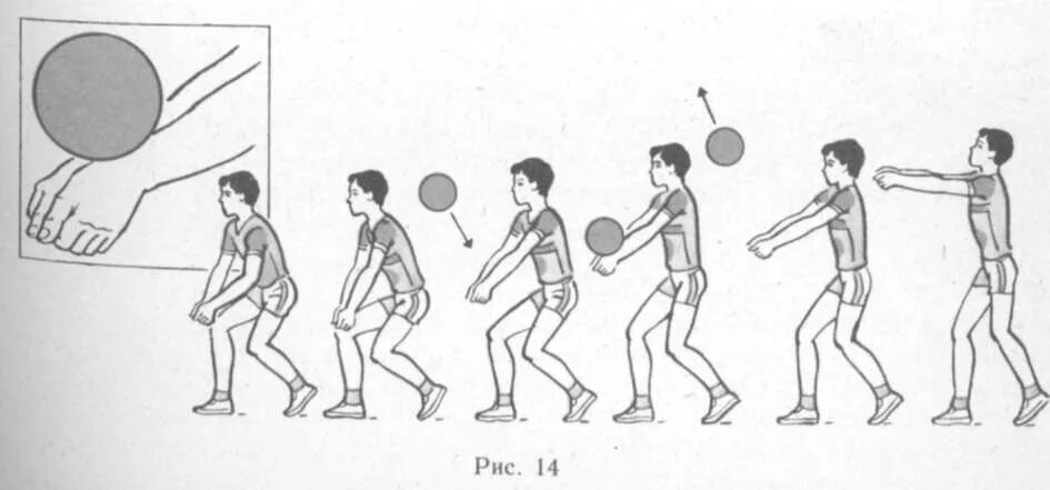 Нижняя подача прием мяча снизу. Прием и передача мяча снизу в волейболе. Волейбол прием и передача мяча сверху и снизу. Волейбол прием снизу техника выполнения. Техника передачи мяча снизу над собой в волейболе.