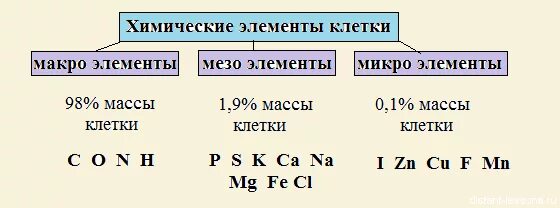 По количественному содержанию в организме элементы. Химические элементы клетки макроэлементы. макроэлементы микроэлементы и ультрамикроэлементы схема. неорганические вещества клетки макроэлементы. неорганические вещества клетки микроэлементы и макроэлементы.