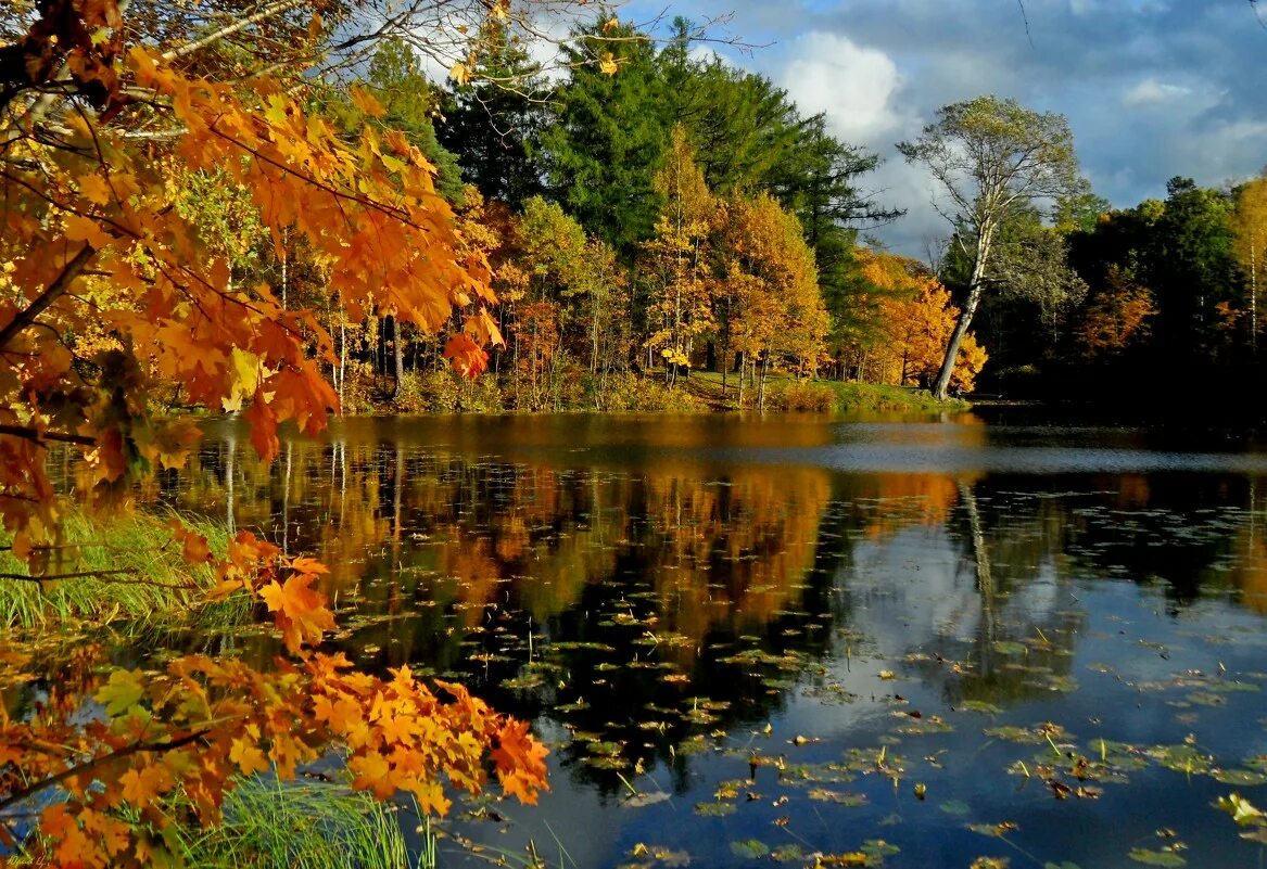 Багряный сентябрь. Осенний мотив. Осенние мотивы природы. Река в октябре. Прекрасный осени мотив.