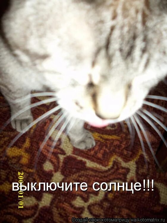 Выключить солнце. Солнце отключить интернет. Солнце отключить интернет. Магнитные бури. Солнце потухло.