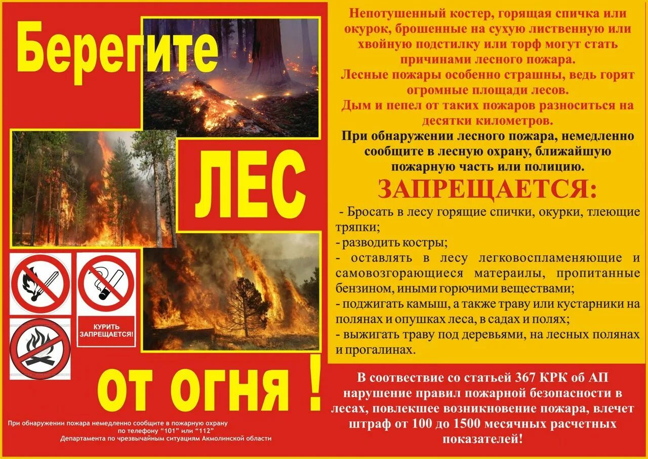 Ппб в лесах
