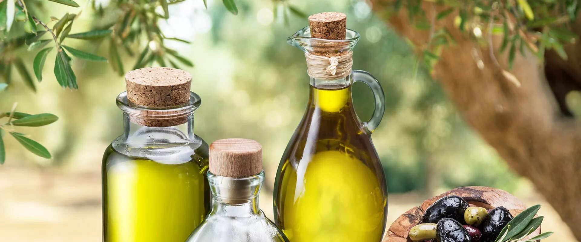 кислотность оливкового масла. испанское оливковое масло лоренцо. масло оливковое extra virgin olive oil organic tasos (греция) gold 1 л. кислотность оливкового масла. условия хранения оливкового масла.