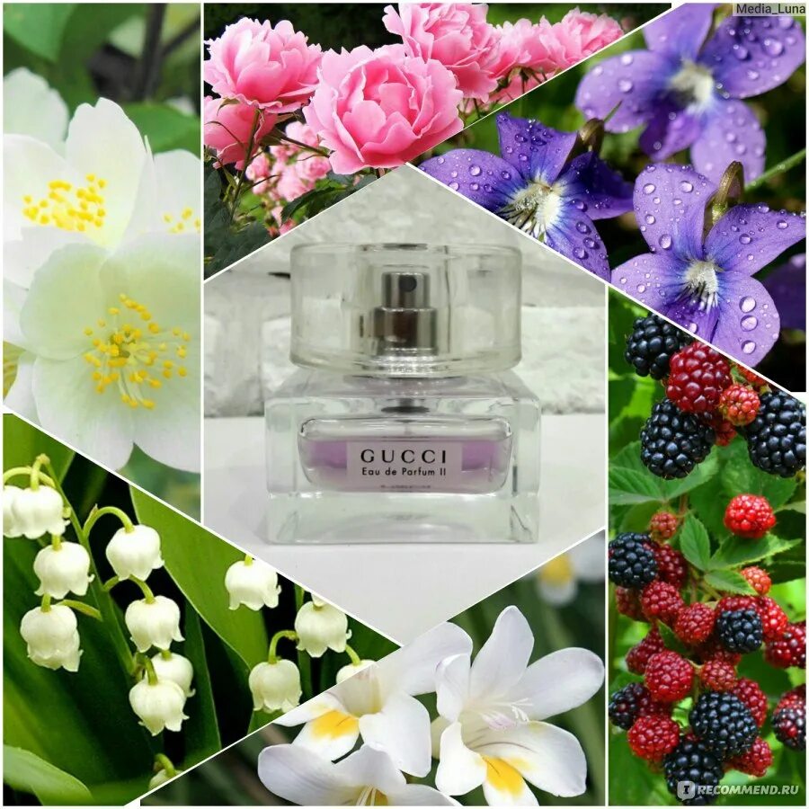 Похожие духи на гуччи. Gucci parfume 2. Gucci Eau Parfum 2. Gucci Gucci Eau de Parfum 2. Реклама духов Gucci Eau de Parfum ll.