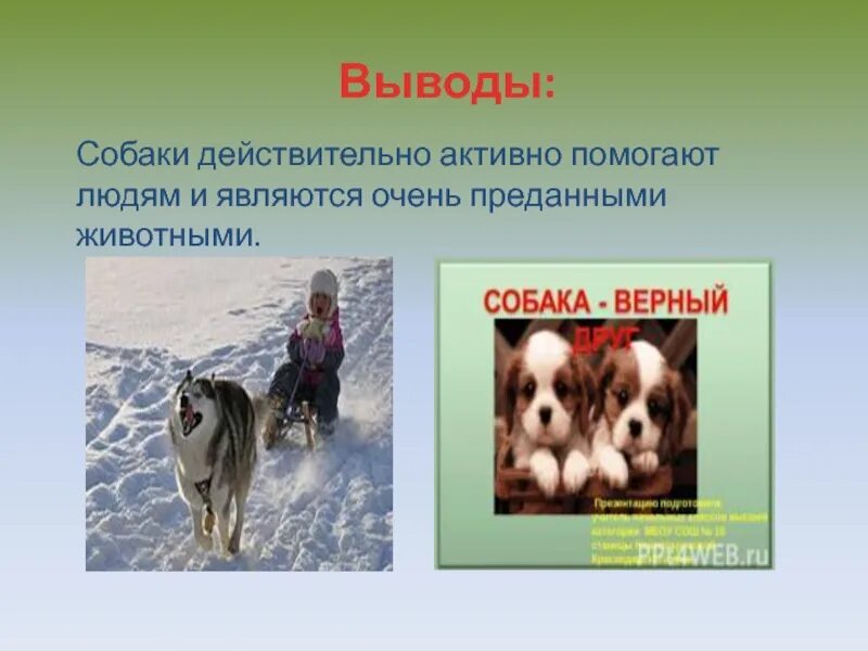 Проект собака друг человека заключение. Вывод про собак. Вывод собака друг человека. Собака друг человека презентация.