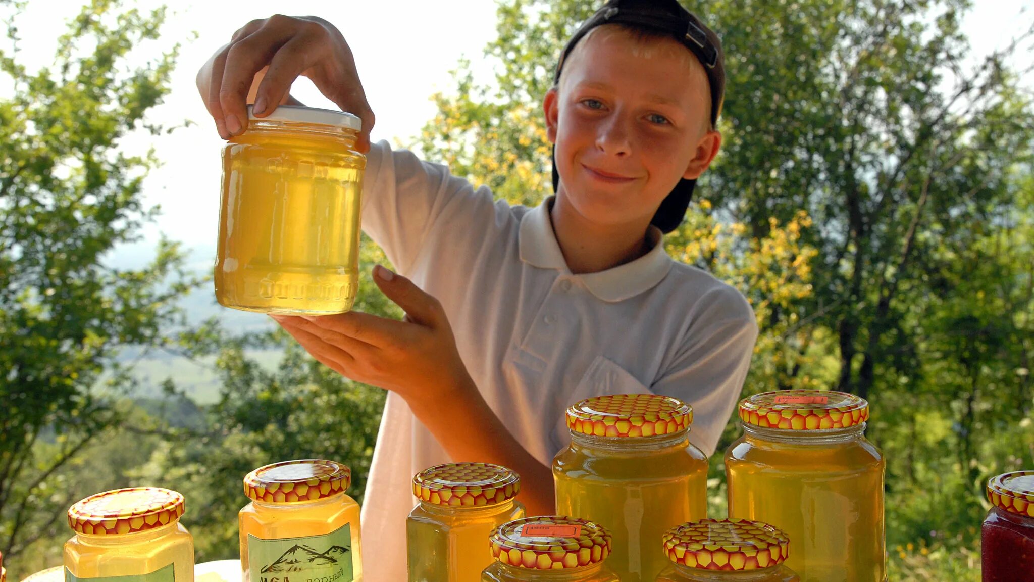 Медовый спас. Мед пасека. Пчелиный мёд. Пчелы пасека. Мало меда на пасеке