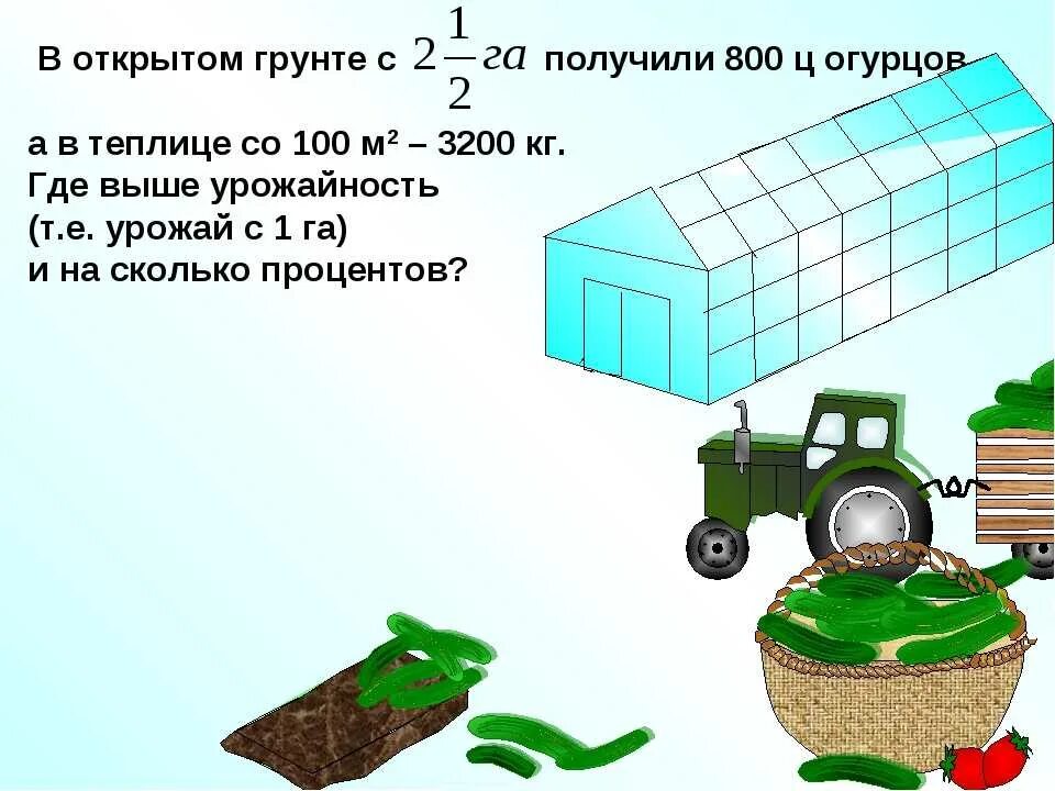 Урожайность огурца на 1м2. Урожайность огурца в открытом грунте с 1 га. Урожай огурца в теплице с 1 м.кв. Урожайность огурца в закрытом грунте с 1 га. Урожайность огурцов с 1