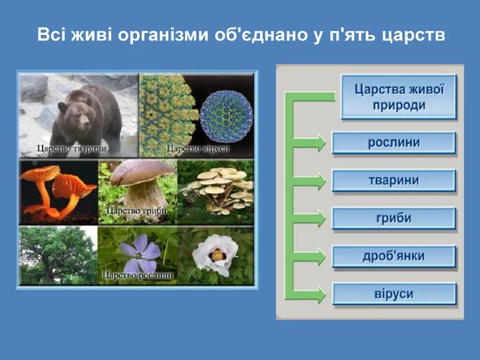 Живі організми. Багатоклітинна рослина. Многообразие живой природы. Неплачтичні види організмів. Рослини мандрівники.