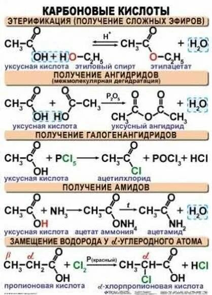 Химические свойства карбоновых кислот таблица. Химические свойства монокарбоновых кислот. Карбоновые кислоты химические свойства и получение. Карбоновые кислоты 10 класс химия химические свойства. Карбоновые кислоты характеристика