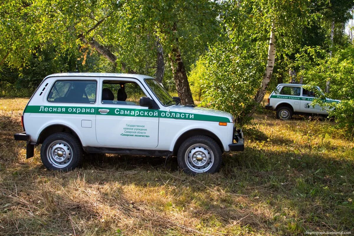 УАЗ Лесная охрана. УАЗ Патриот Лесная охрана. Нива Лесная охрана. Лесная охрана машинка.