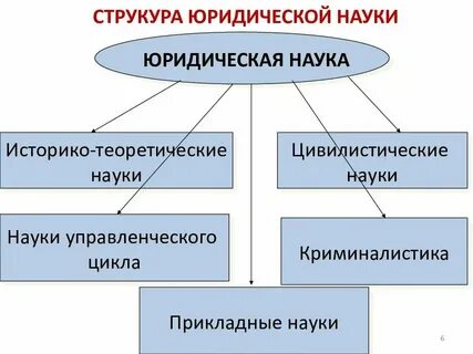 Общетеоретические и исторические юридические науки