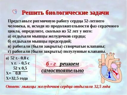 Задачи на работу сердца