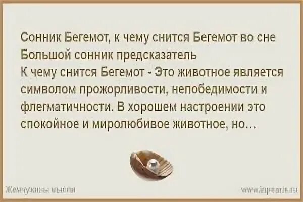 Взрослый сын во сне