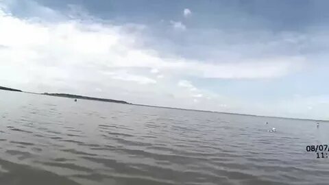 Петухово курганская область озеро
