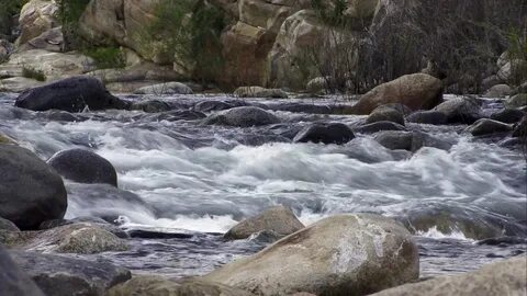 Go up the river