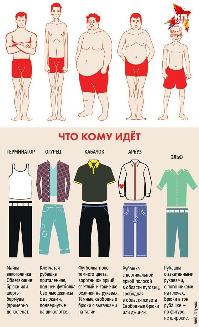 Выбери тип мужчины. Типы фигур у мужчин. типы мужского телосложени. одежда по типу фигуры мужская. типы телосложения у мужчин.
