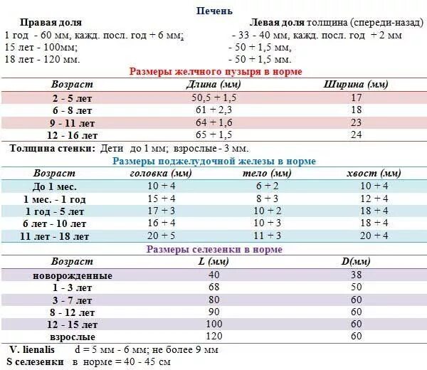 Нормы органов брюшной полости