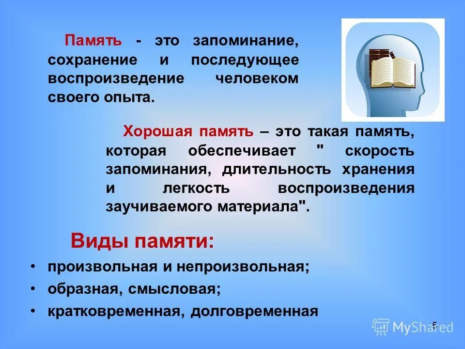 Запоминание сохранение и воспроизведение образов