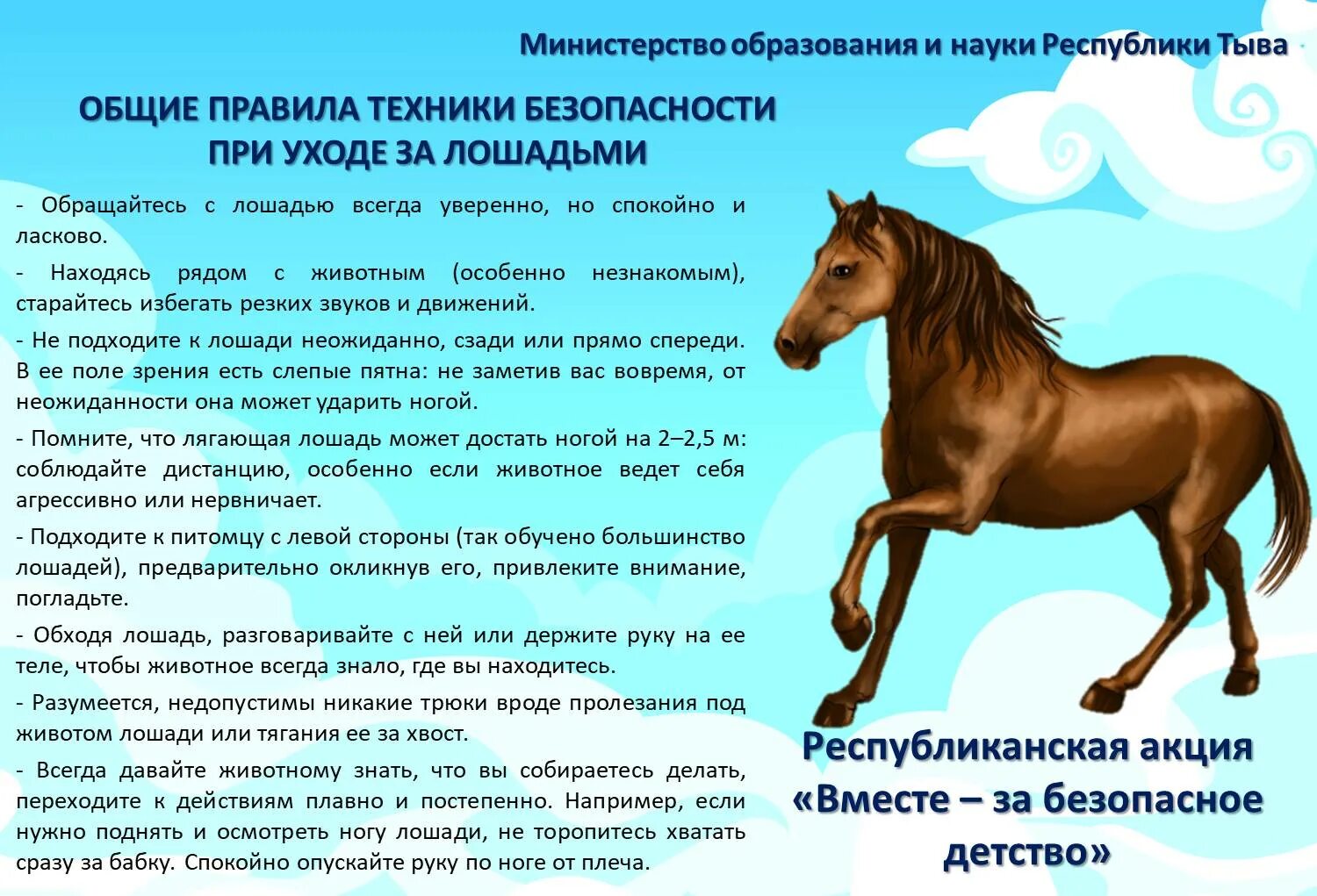 Формулы приведения голова лошади. Правило лошадки и формулы приведения. Метод лошади тригонометрия. Правила безопасности при работе с лошадьми. Правила лошади.