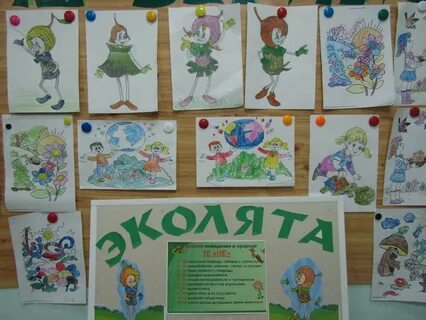 Эколята в детском саду средняя группа