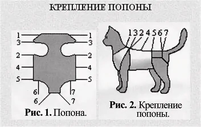 Как правильно одеть попону на кошку. Как завязать попону на кошке схема. как завязать попону кошке после операции. как завязать попону кошке после операции схема. правильно одеть попонку кошке после стерилизации.