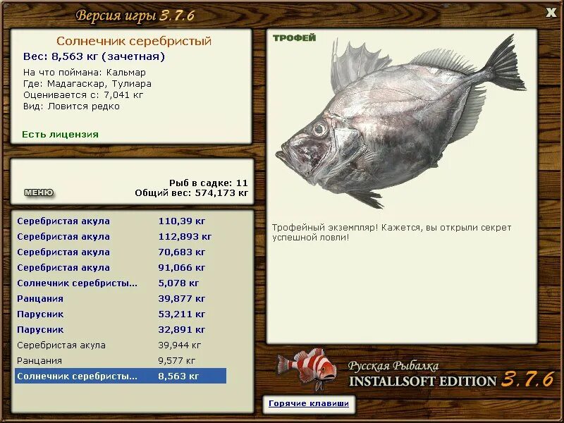 саркодовые солнечники. трофейные солнечник. протей радиолярия солнечник. радиолярии в известняке. саркодовые солнечники.