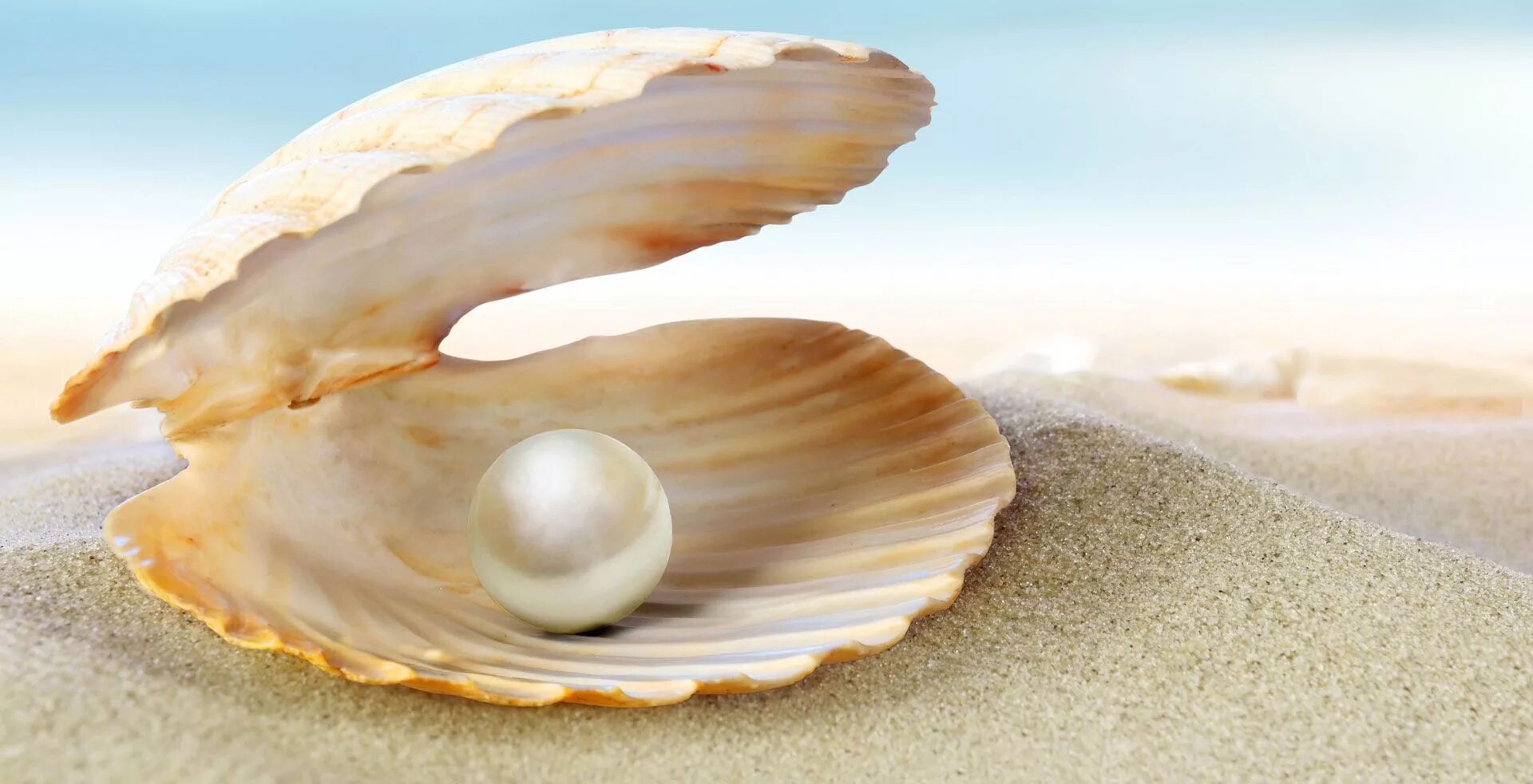 Shell missing. Shell missing
