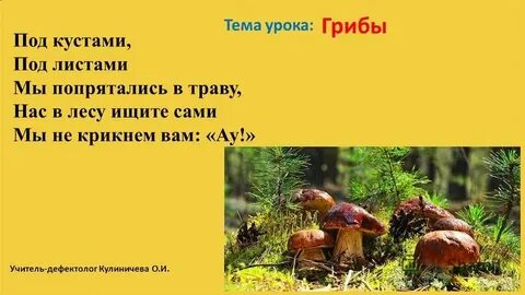 Стихи про грибы короткие