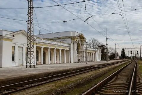 Сенаки