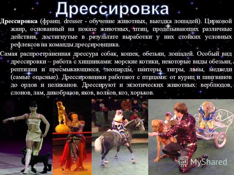 жанры циркового искусства