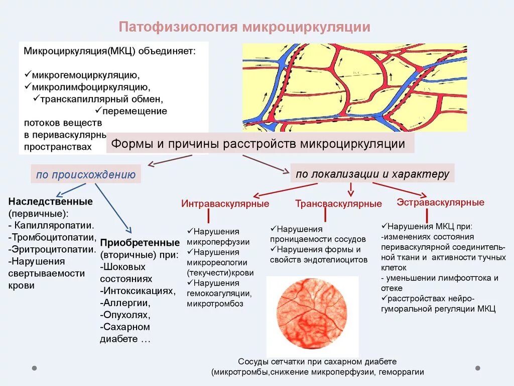 Формы нарушения кровообращения. Типовые формы расстройств микроциркуляции крови и лимфы. Причины расстройств кровообращения микроциркуляции. Причины нарушения и механизмы микроциркуляторное русло. Нарушения периферического кровообращения патофизиология.