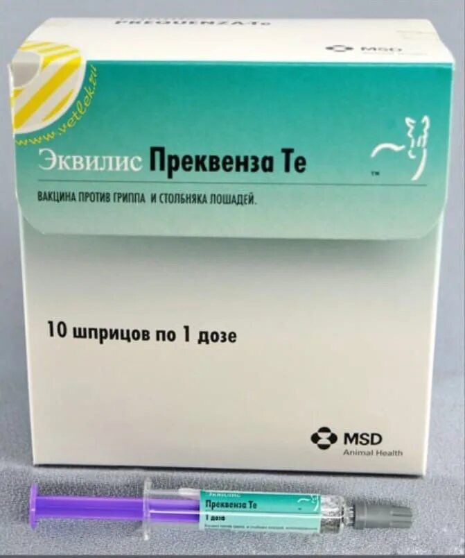 Вакцина против гриппа лошадей эквилис. /интервет/. Вакцина против гриппа лошадей. Лептоспироз лошадей вакцина. /интервет/.