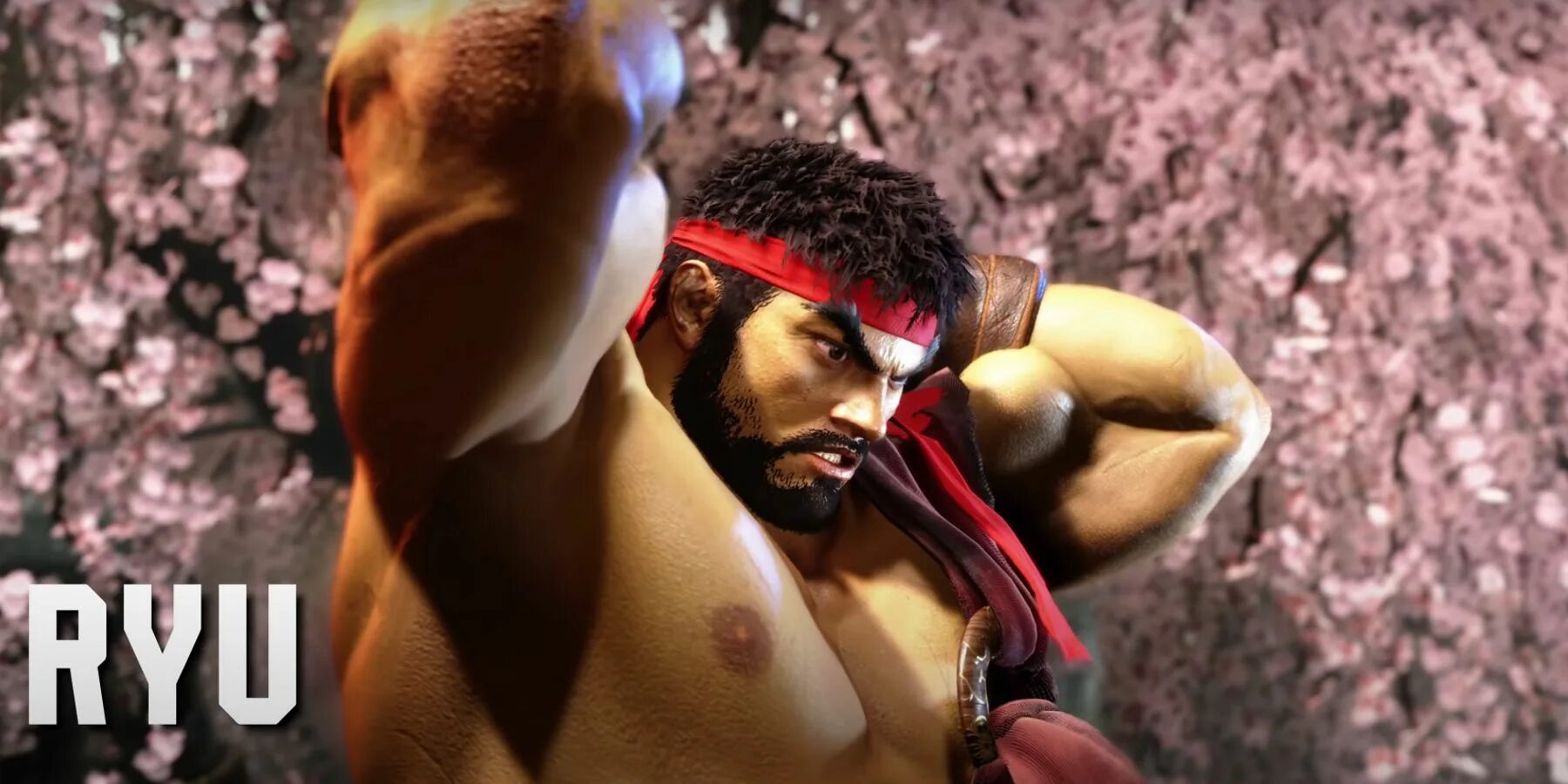 Лучший файтинг 2025. Перс боец. стрит файтер 6 боец из россии. street fighter 6 sakura 2025. street fighter 6 2025 game ryu.