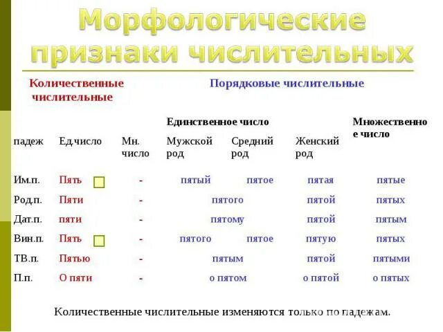 Морфологический анализ числительного 6. Числительное морфологические признаки. Количественные числительные морфологические признаки. Количественные и порядковые числительные морфологические признаки. Имя числительное морфологические признаки.