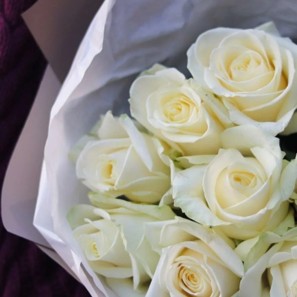 Белые розы смысл. Букет белых роз. Букет из белых роз. Шикарный букет белых роз. Красивые белые розы.