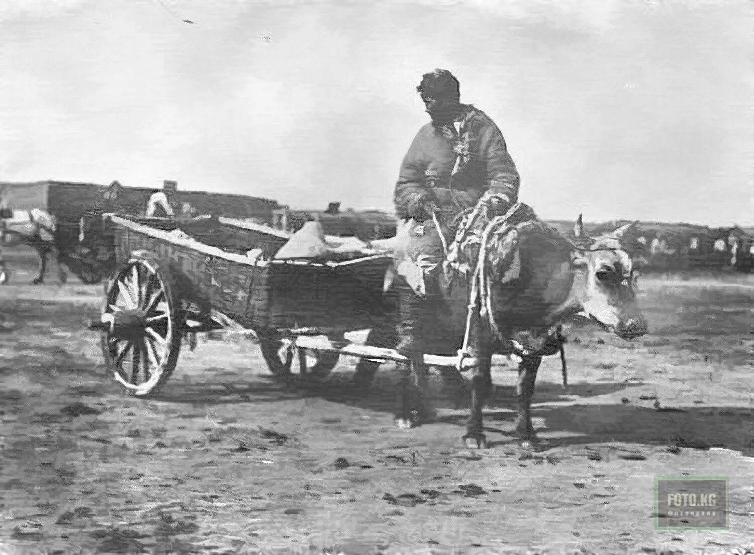 Гужевой скот. Монгольская телега. Старинное средство передвижения у бурят. Арба с лошадью. Гужевой транспорт.