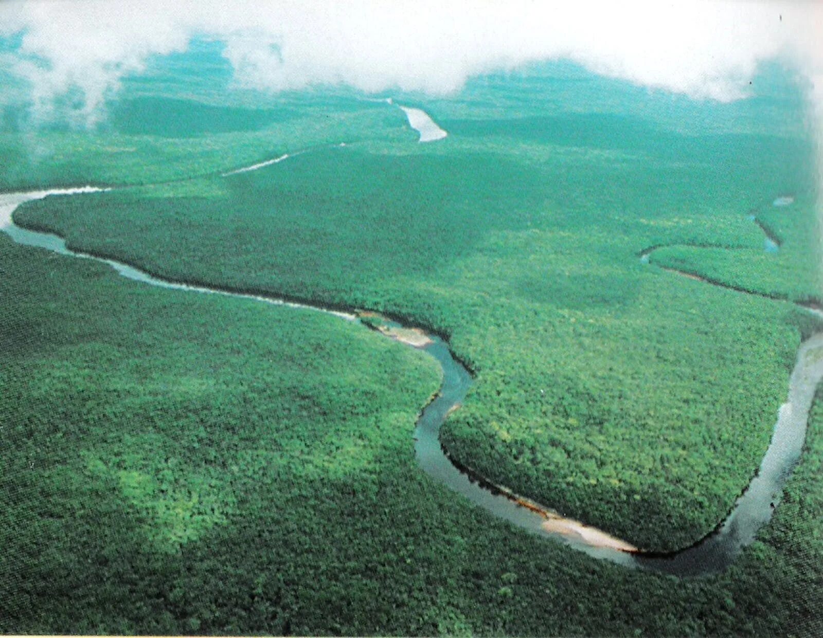 Дельта Ориноко. Река Ориноко Южная Америка. Венесуэла река Ориноко. Оринокская низменность Венесуэла.