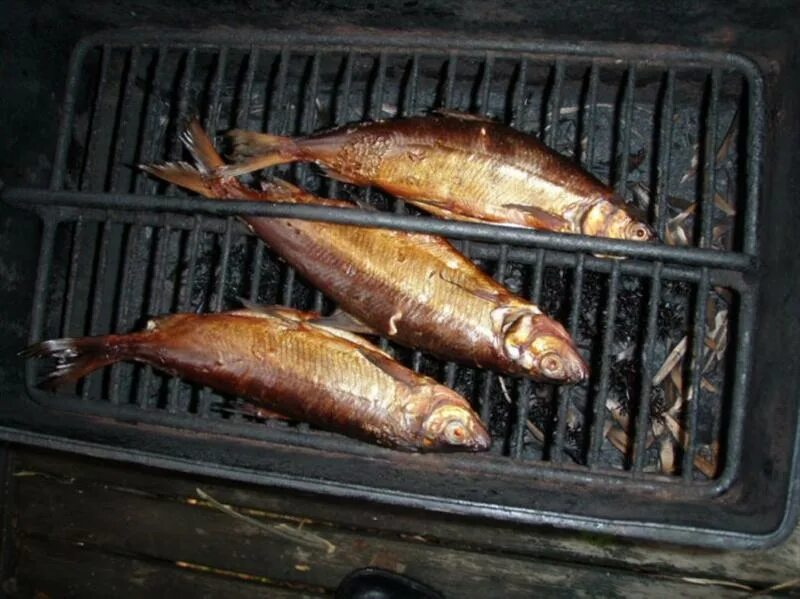 Коптильня горячего копчения сср. Коптильня для рыбы холодного копчения. Скумбрия в коптильне. Пс. Коптилка горячего копчения.