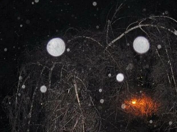 Шары плазмоиды орбы. Шапсугская аномальная зона плазмоиды. Плазмоиды что это. Шонги плазмоиды. Солнечные плазмоиды.