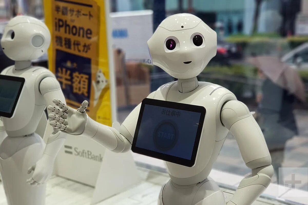 Робот Пеппер. Роботы в Японии. Современные роботы. Робототехника Японии. Телефон будь роботом