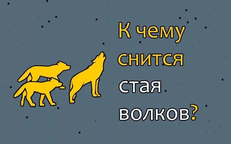 К чему снятся волки. Волк во сне к чему снится. К чему снятся волки стая. Снилась стая Волков.