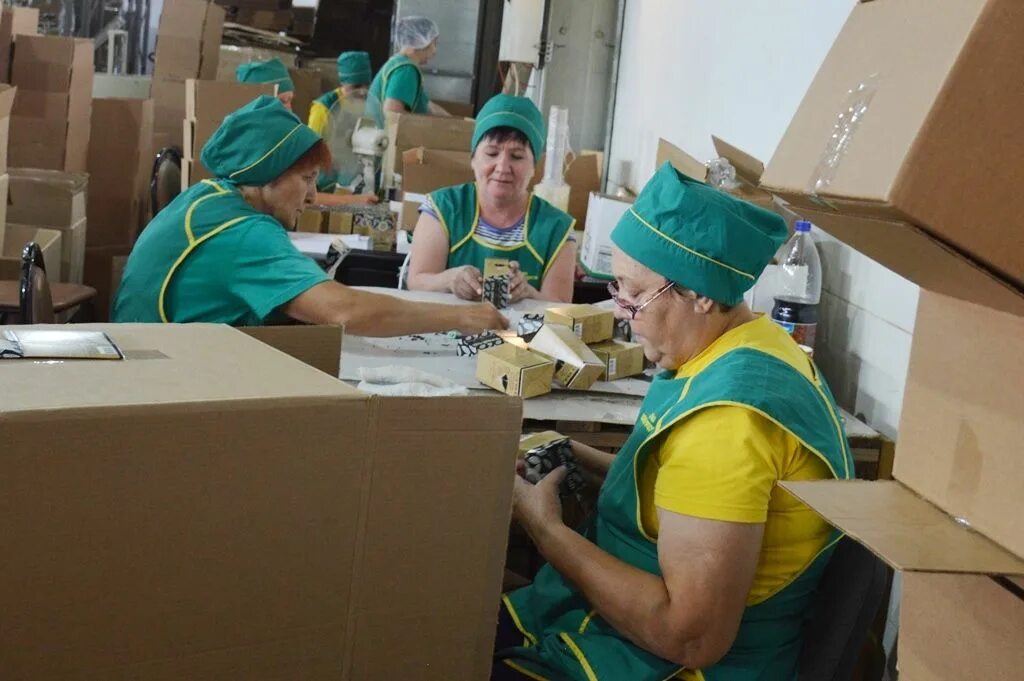 Фабрика здоровых продуктов чай. Ооо фабрика здоровых продуктов казань. Чай зелёный имбирный. Фабрика здоров. Фабрика здоровые продукты.