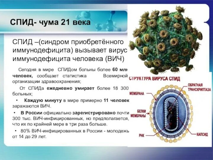 Спид биология 8 класс. ВИЧ строение вируса кратко. Сообщение о вирусе СПИД. Вирус ВИЧ доклад по биологии. Сообщение о вирусе ВИЧ.