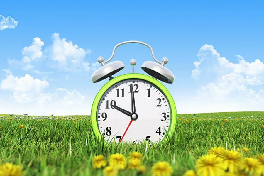 лето на ладони. ремонт в летнее время. лето в михалувке. дети лето радость. лето время возможностей.